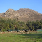 Luxury Tented Accommodation